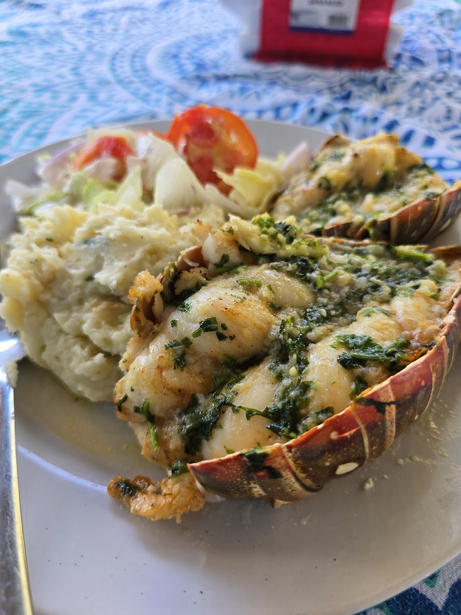 Plated lobster meal photographed in Placencia